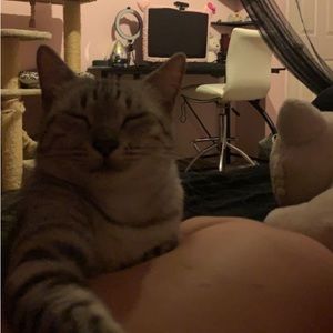 Meet your Posher, Wendy